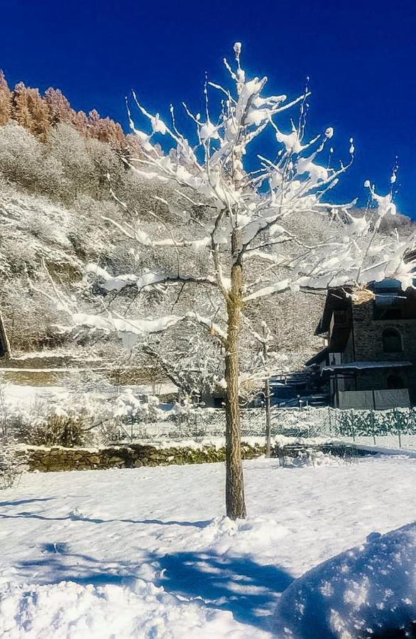 B&B Villa Paradiso Mezzana  Εξωτερικό φωτογραφία