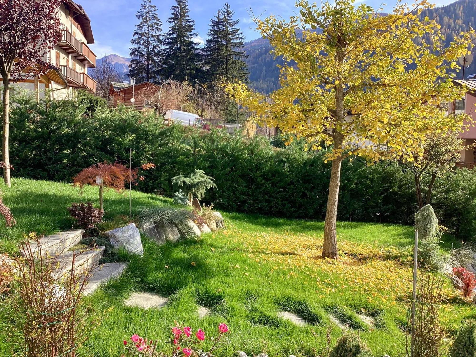 B&B Villa Paradiso Mezzana  Εξωτερικό φωτογραφία